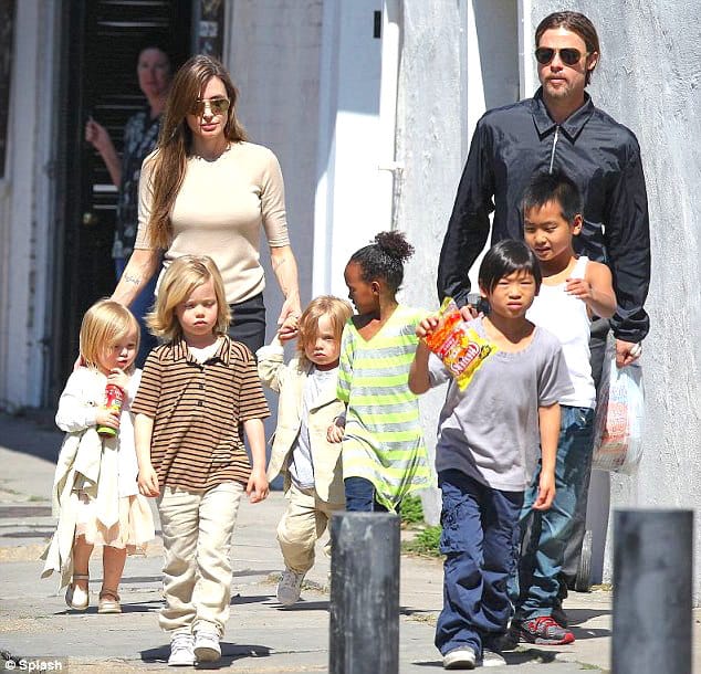 Angelina Jolie Brad Pitt Enfants Biologiques Adoptifs